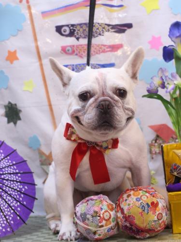 20240508ブーくん